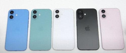 苹果16最新爆料标准版,颠覆性设计，性能新标杆，揭秘全新旗舰手机亮点