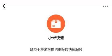 宁强微信爆料最新消息今天,最新动态揭秘，今日热点事件一览无余！”